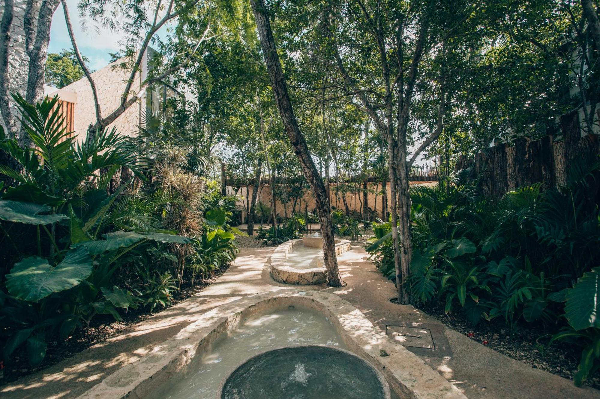 Tulum Jungle Luxury Villa -Pvt Pool - Concierge 6A Eksteriør billede