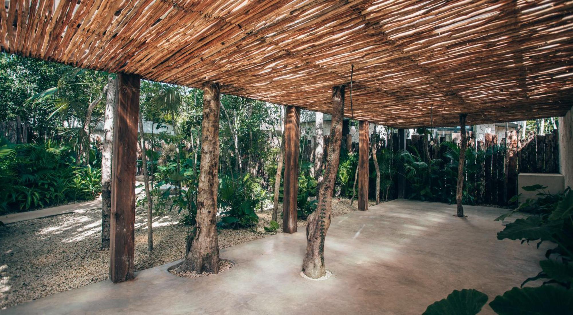 Tulum Jungle Luxury Villa -Pvt Pool - Concierge 6A Eksteriør billede